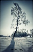 February / ******