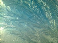 Winter / ***