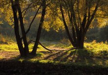 Erinnerungen an die Sonne / **************************