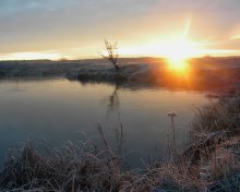 Die Januar-Morgen / ***