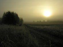 nebligen Morgen / *****