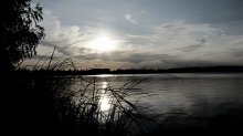 Dawn / Dawn