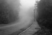 Im Nebel / ***