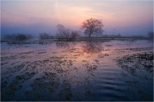 Dämmerung in der Flut / ***