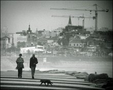 über die Stadt und die schwarze Katze / ***