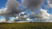 Niedrige Wolken / ******