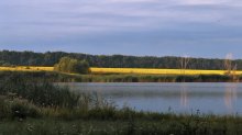 Morgen. Die Mitte des Sommers ... / ***