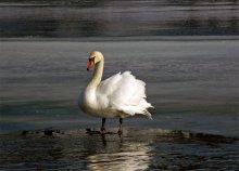 Frühling, kehrten wir / *****