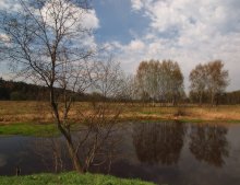 Wir sind für den Frühling warten ... / ***