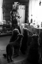 Morning Coffee / ***