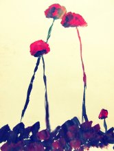 Mohn / ***