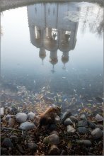Die Katze trinkt Wasser aus dem Teich des Klosters / ***