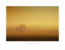 Der Orange Dunst ... / ***