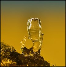 Flasche Tee ... / ***