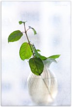 when the spring revives... / ***