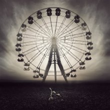 park N / ***