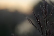 ungewiss / ...
