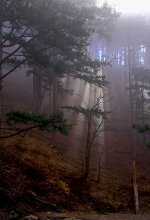 Wird der Strahl der Sonne brechen / ***