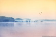 Nebel / ***