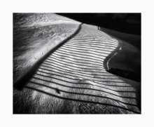 Schatten, der Schatten / ***