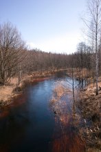 Bewässerten / _________________*