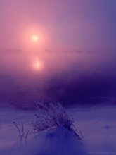 Frostigen Morgen Vilia / ***