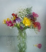 Frühlings-regen / ***