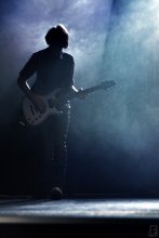 guitarist / guitarist