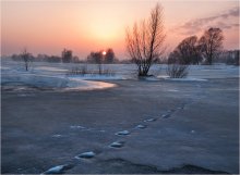 Spuren des Winters 3 / ***