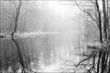 Nebel / ***