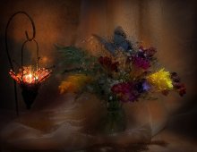 Abendlicht / ***