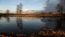 Und doch .......... Frühling. / ***