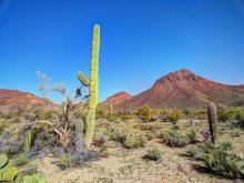 über die gesamte Arizona wolkenlosen Himmel .. / ***