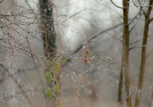 Frühling / ..............................