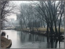 Die junge Fotografin / ***