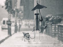 In der regen / ..........
