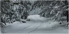 Schnee / ***