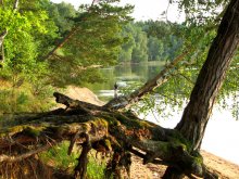 nach dem Sturm / ***