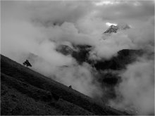 Monsun / ***