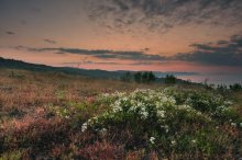 Noch vor der Morgendämmerung. / ***