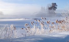 Morgenfrische / ***