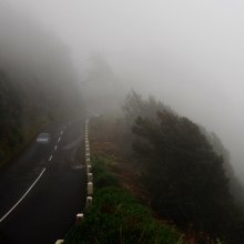 Im Nebel / ..........