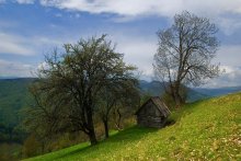 Frühling ... Hut ... / ***