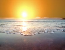 "... Ersatz Palmen, streuen ich Ihnen die Sonne ..." / ***