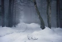 Darüber, wie der Nebel frisst April Schnee / ***
