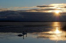 der Sonne / ********