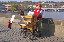 Der Leierkastenmann auf der Karlsbrücke / ***