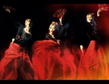 FLAMENCO / ***
