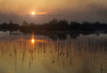 "Sunset" / ***