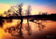 Springflut / ........